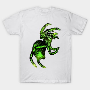 Spider / Tarantula / Halloween T-Shirt